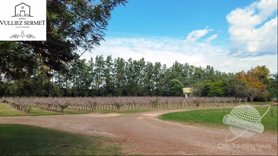 -Bodega Vulliez Sermet: Historia, herencia y vino en el corazón de Colón-