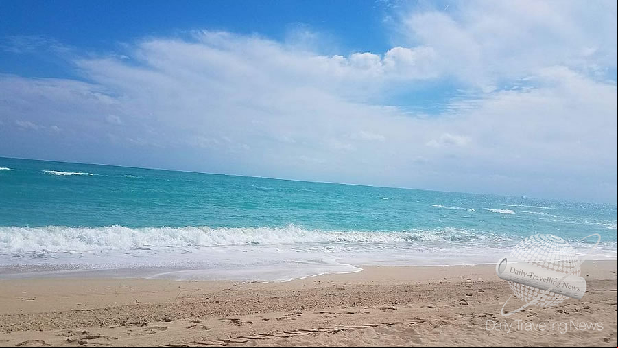 -las Últimas Novedades en Miami te esperan-
