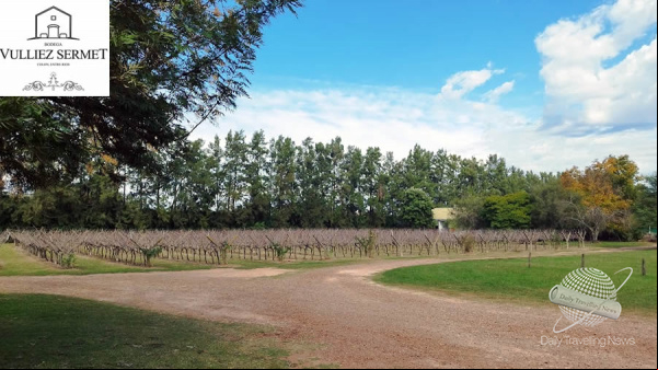 Bodega Vulliez Sermet: Historia, herencia y vino en el corazón de Colón
