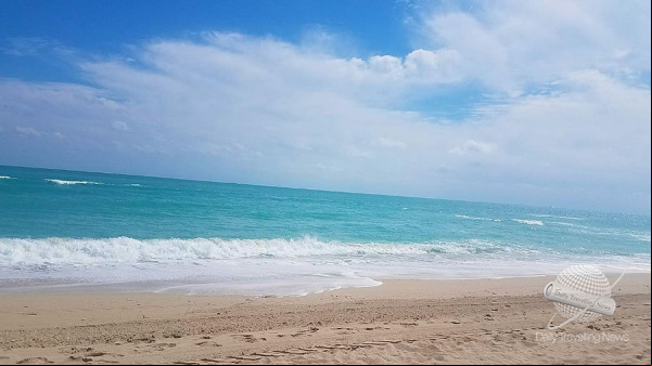 Las Últimas Novedades en Miami te esperan