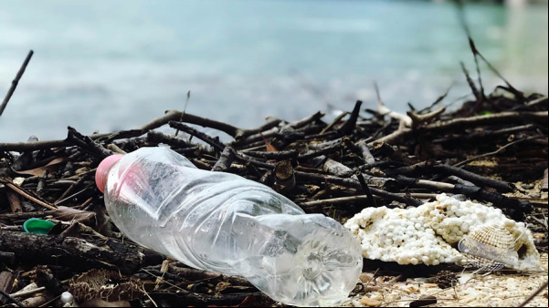 La República de Corea será el país anfitrión del Día Mundial del Medio Ambiente 2025